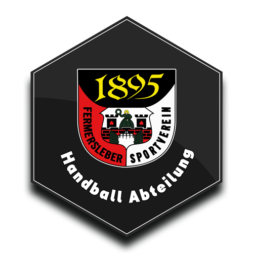 logo-fsv-handball_startseite_02.png